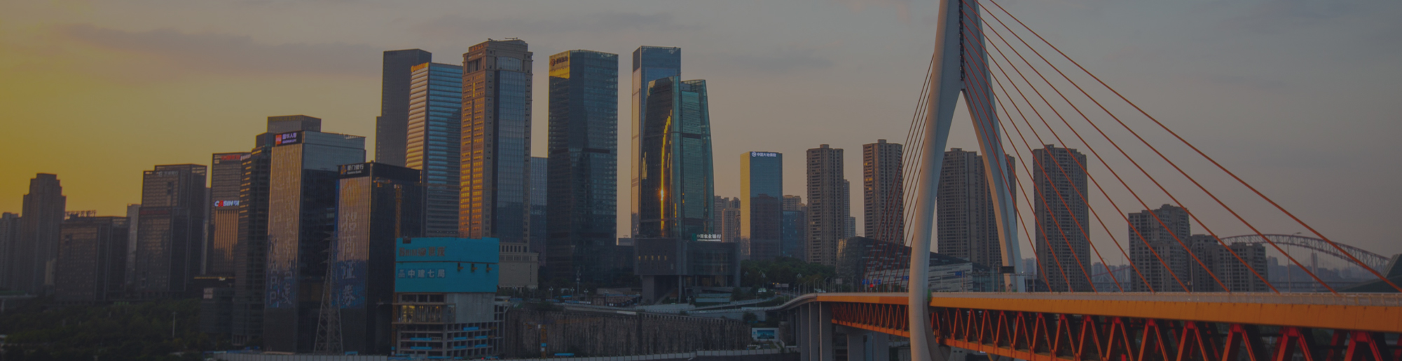 2013年海南冬交會